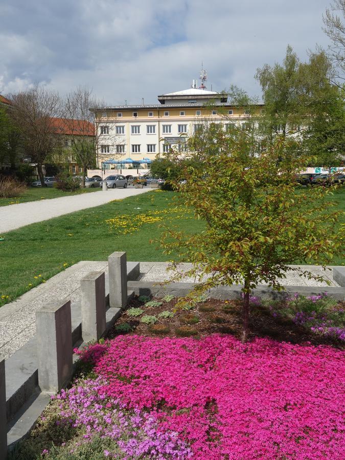 Life Hostel Slovenia Radovljica Exterior photo